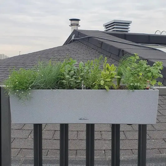 Balkonista zestaw balkonowy spicy-herbs w antracytowej donicy z kolorowymi ziołami 2