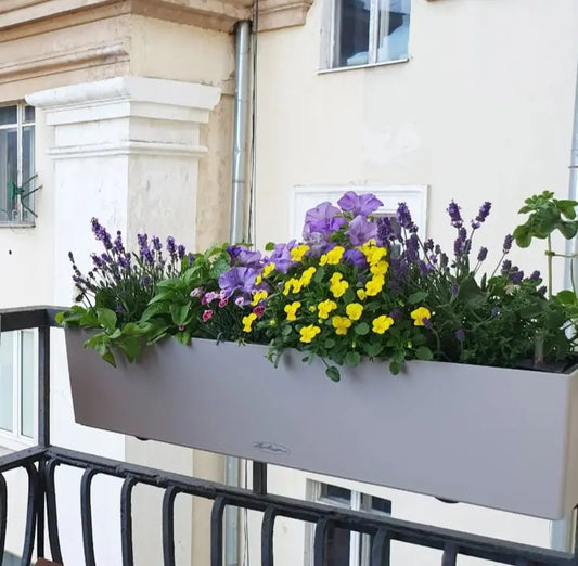 Balkonista zestaw balkonowy sunny-meadow w antracytowej donicy z żółtymi akcentami 2