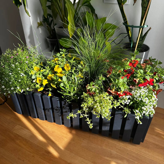 Sunny Meadow Care Guide