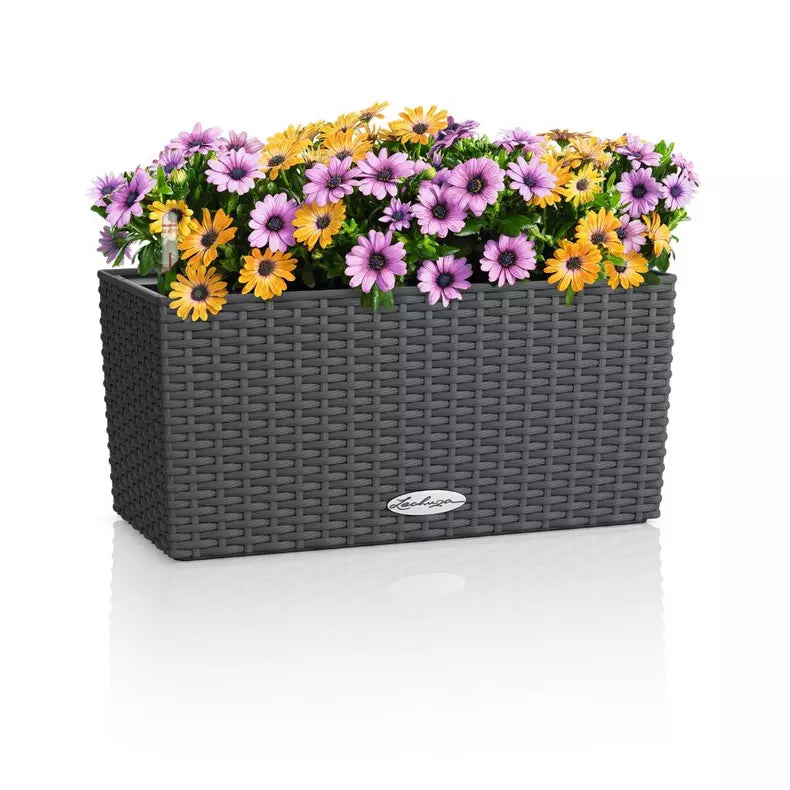 Lechuza Cottage 40 cm Granit — rustykalna donica na balkon do sadzenia najładniejszych kwiatów na balkon, wytrzymałe rośliny