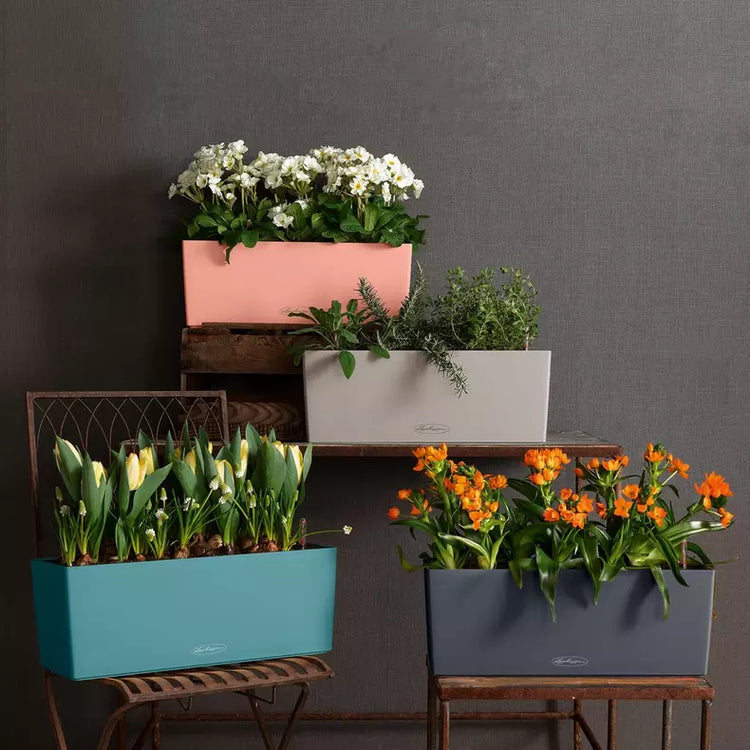 Planters