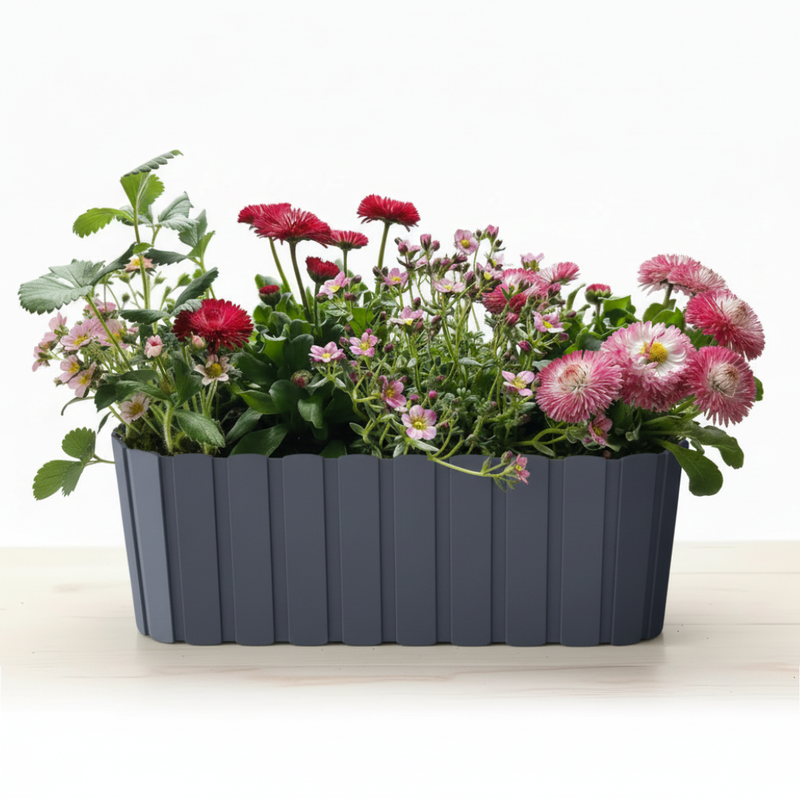 Zestaw Balkonowy Childhood Garden