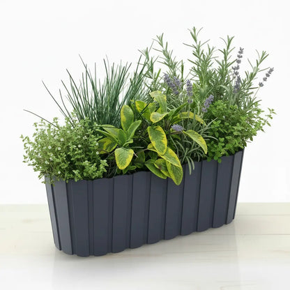 Zestaw Balkonowy Spicy Herbs