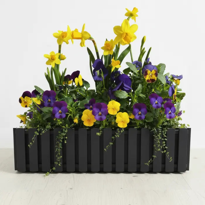 Zestaw Balkonowy Spring Sunbeams