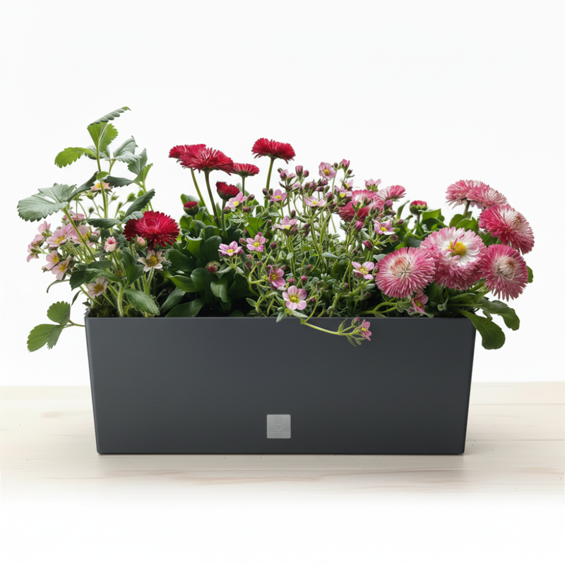 Zestaw Balkonowy Childhood Garden