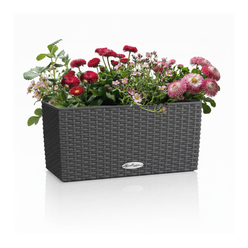 Zestaw Balkonowy Childhood Garden