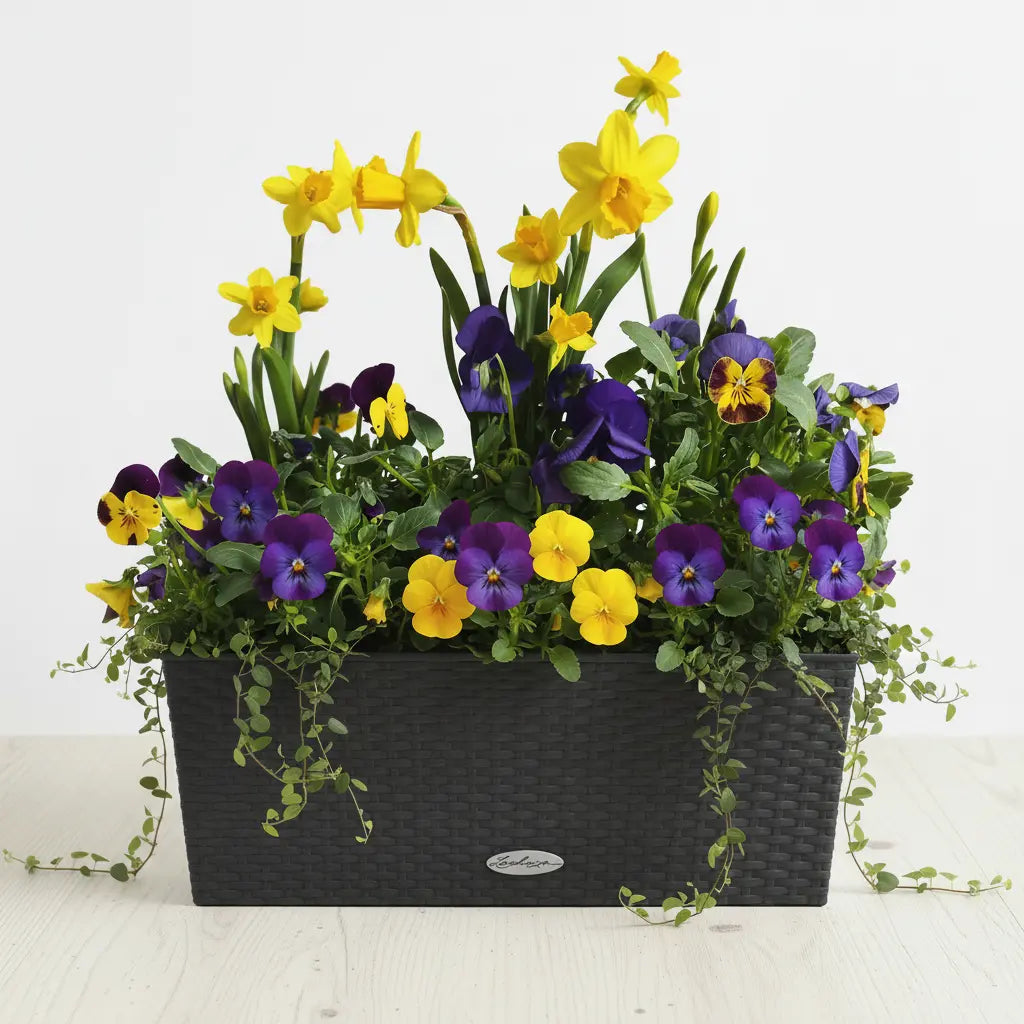 Zestaw Balkonowy Spring Sunbeams