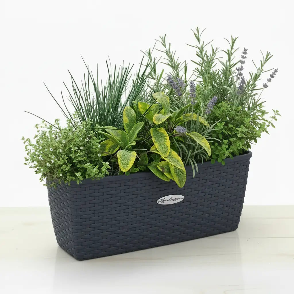 Zestaw Balkonowy Spicy Herbs