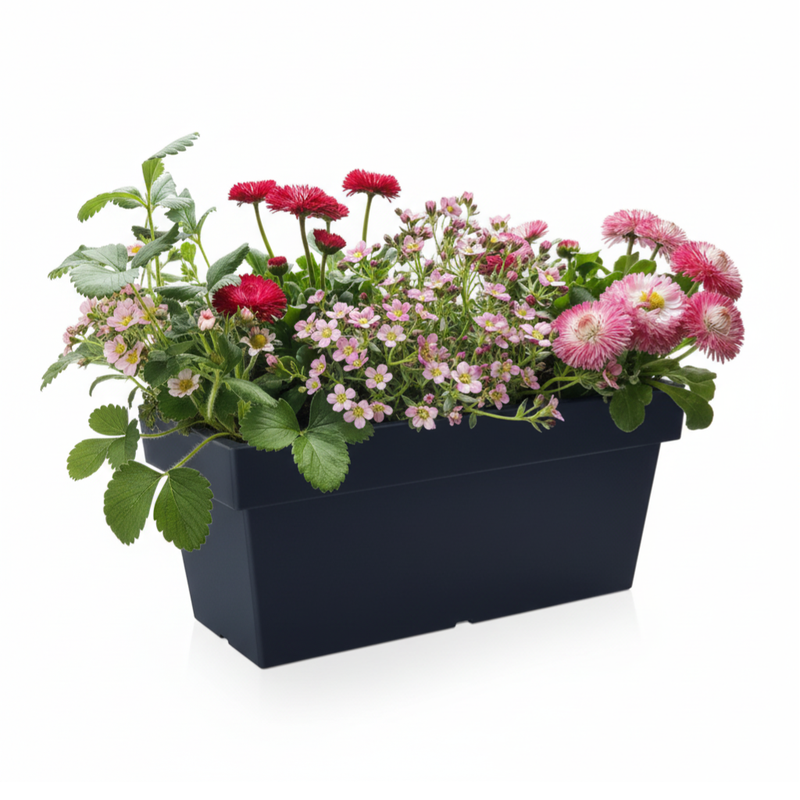 Zestaw Balkonowy Childhood Garden