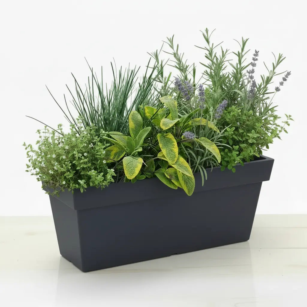 Zestaw Balkonowy Spicy Herbs