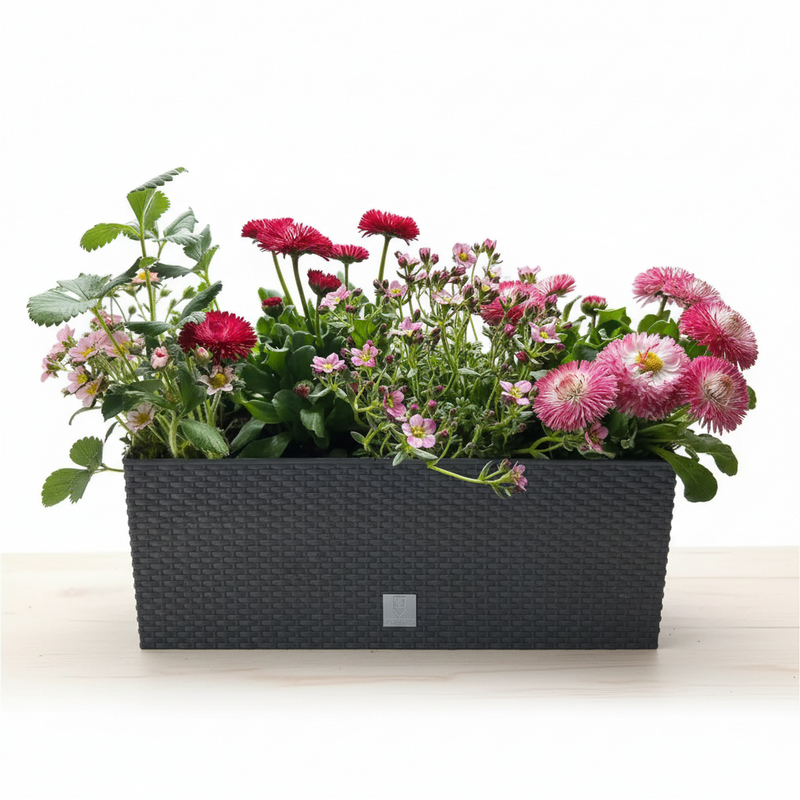 Zestaw Balkonowy Childhood Garden