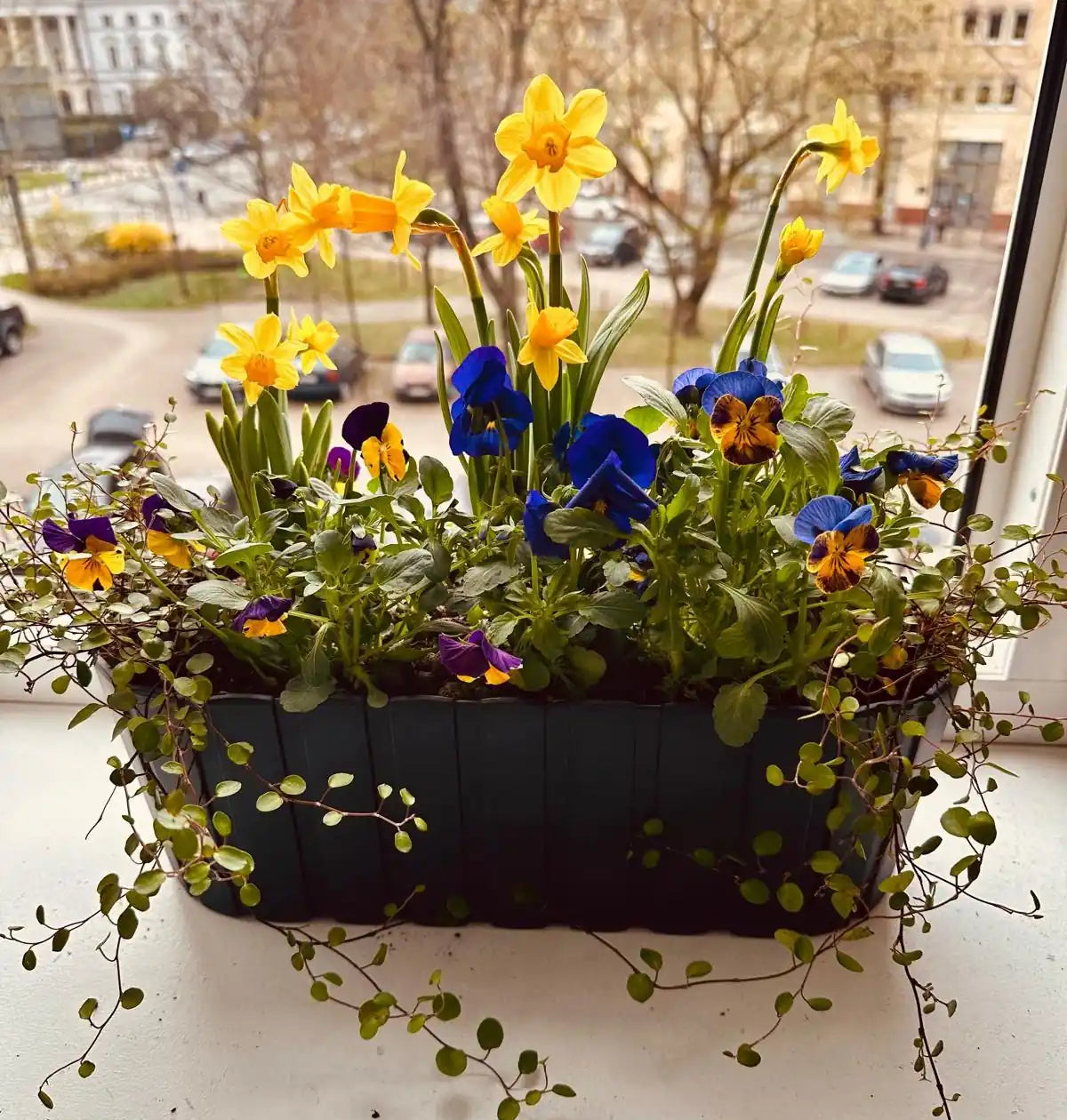 Image with text section