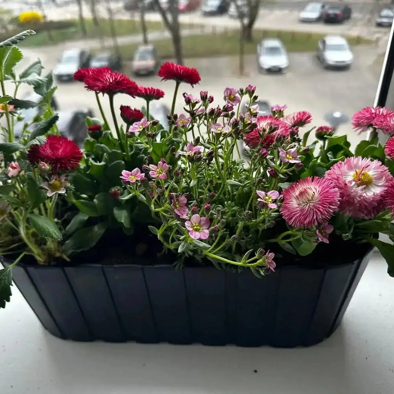 Zestaw Balkonowy Childhood Garden