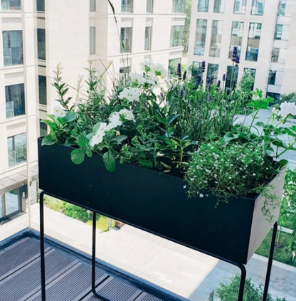 Balkonista zestaw balkonowy baltic-breeze w antracytowej donicy z morską aranżacją 1