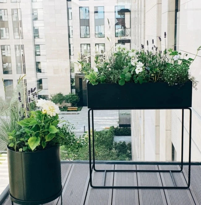 Balkonista zestaw balkonowy baltic-breeze w antracytowej donicy z delikatnymi liśćmi 3