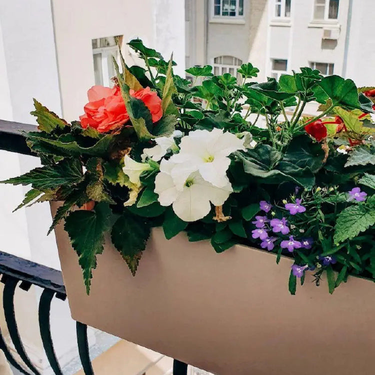 Sezon już za chwilę