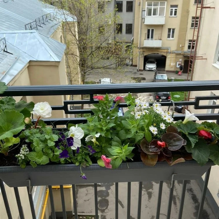 Balkonista zestaw balkonowy grannys-cottage w antracytowej donicy z kolorowymi kwiatami 2