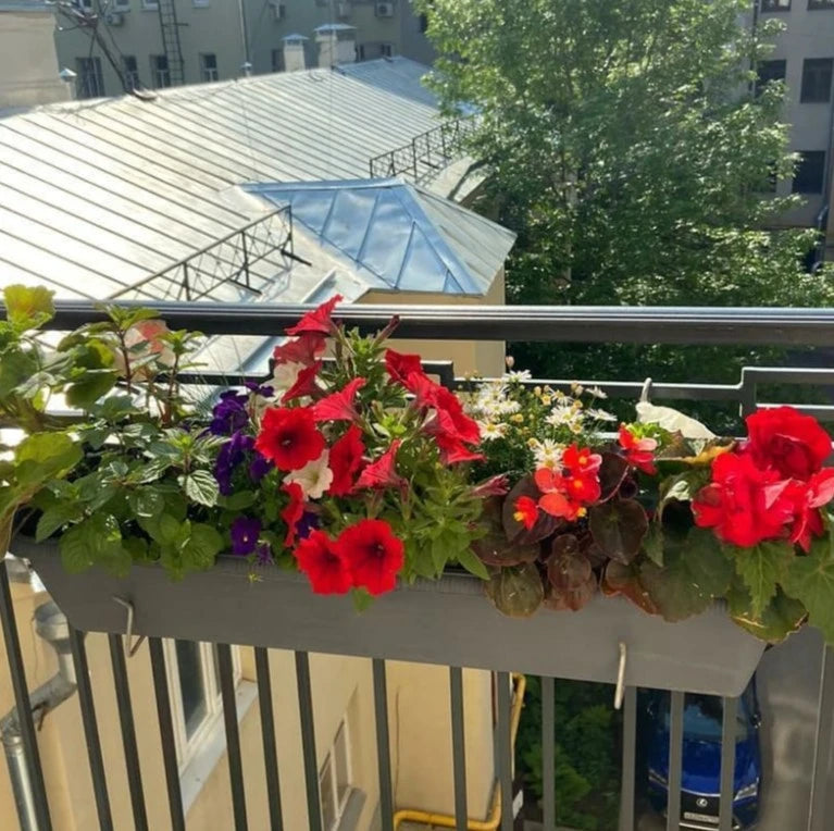 Balkonista zestaw balkonowy grannys-cottage w antracytowej donicy z drobnymi listkami 3