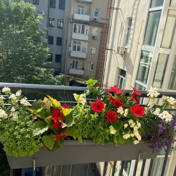 Balkonista zestaw balkonowy grannys-cottage w antracytowej donicy z pnączami 4