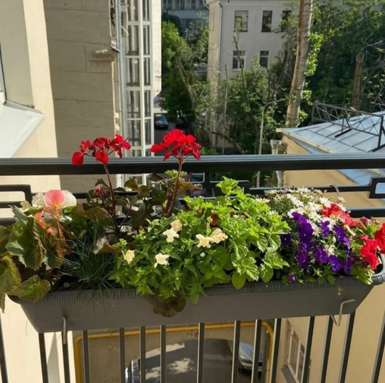 Balkonista zestaw balkonowy grannys-cottage w antracytowej donicy z roślinną dekoracją 5