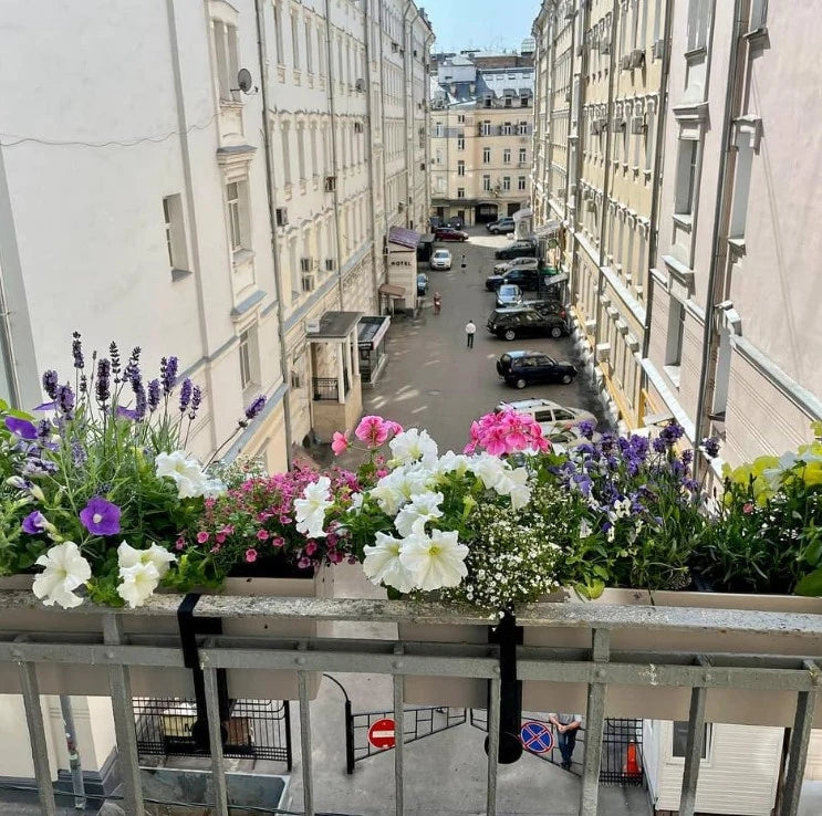 Balkonista zestaw balkonowy provence w antracytowej donicy z delikatnym ziołowym akcentem 3