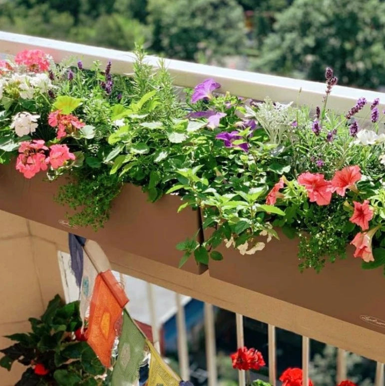 Balkonista zestaw balkonowy provence w antracytowej donicy z kolorowymi pąkami 4