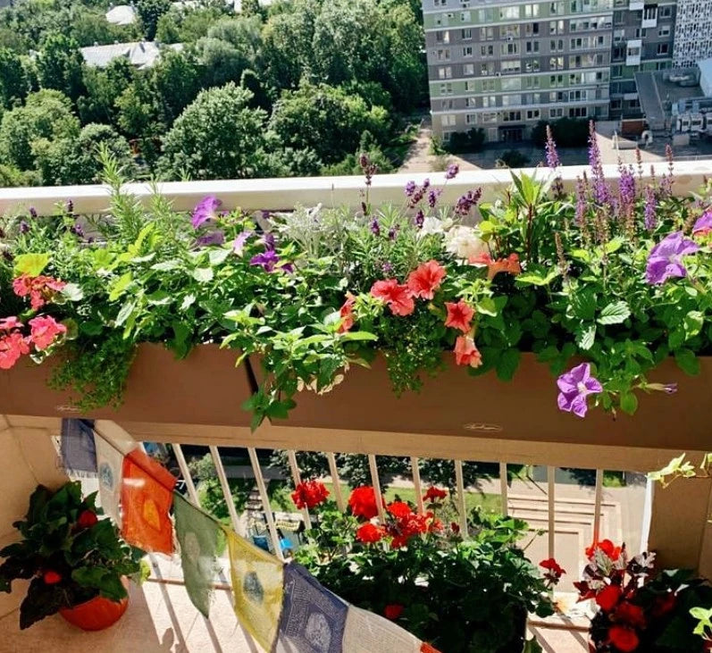 Balkonista zestaw balkonowy provence w antracytowej donicy z rustykalnym wykończeniem 5