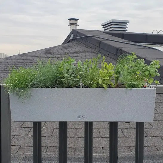 Balkonista zestaw balkonowy spicy-herbs w antracytowej donicy z kolorowymi ziołami 2